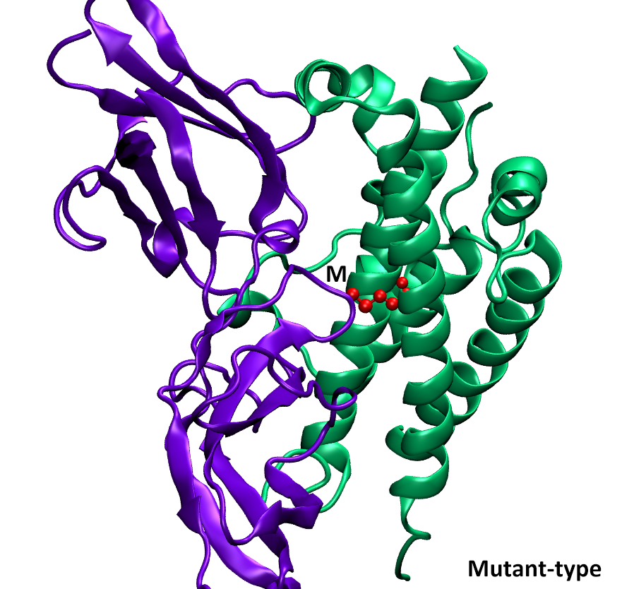 Mutation Image