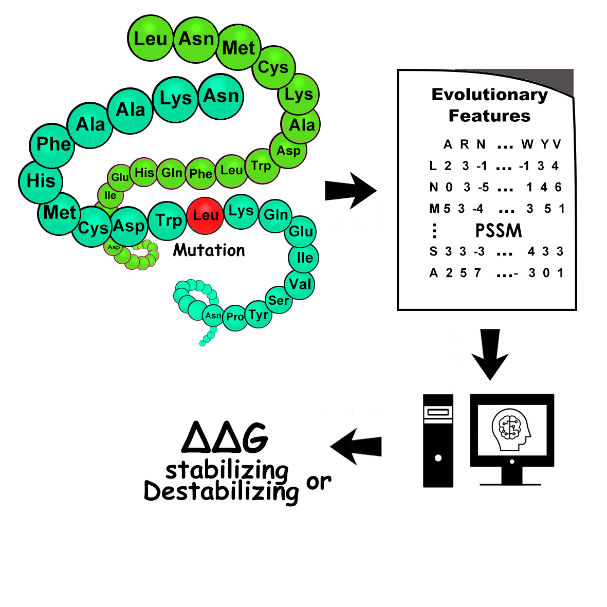 Mutation Image