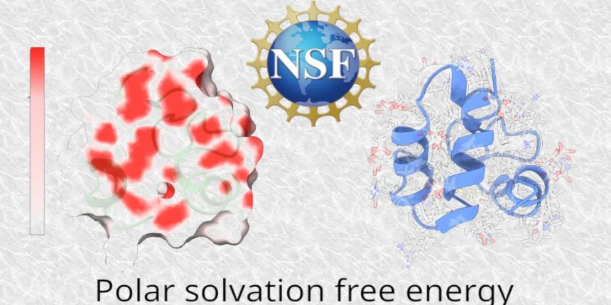 The lab was awarded NSF grant 
