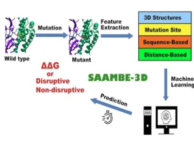 SAAMBE-3D