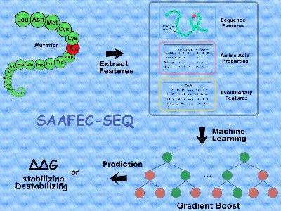 SAAFEC-SEQ