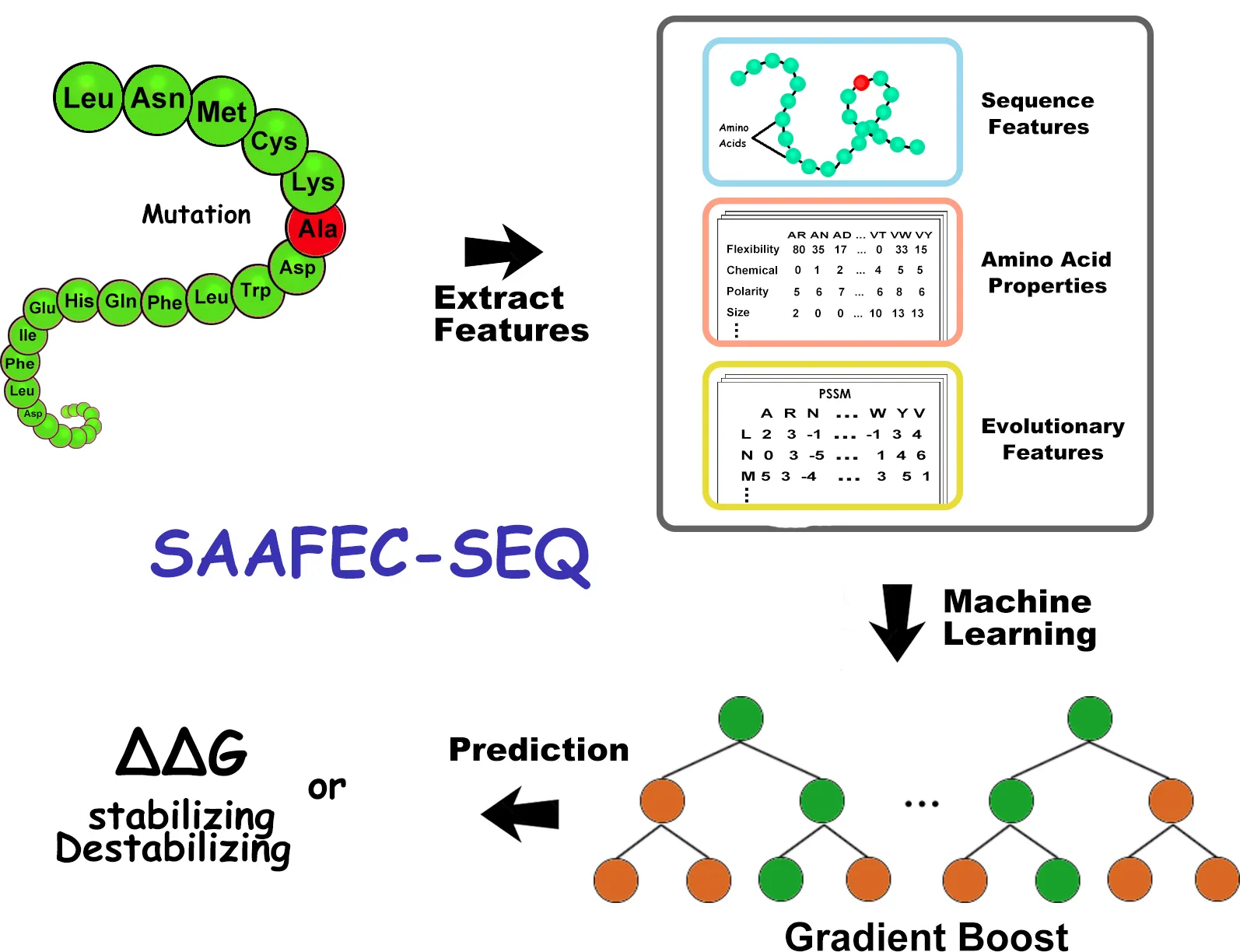 SAAFEC-SEQ schema