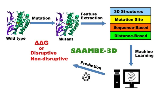 SAAMBE-3D schema