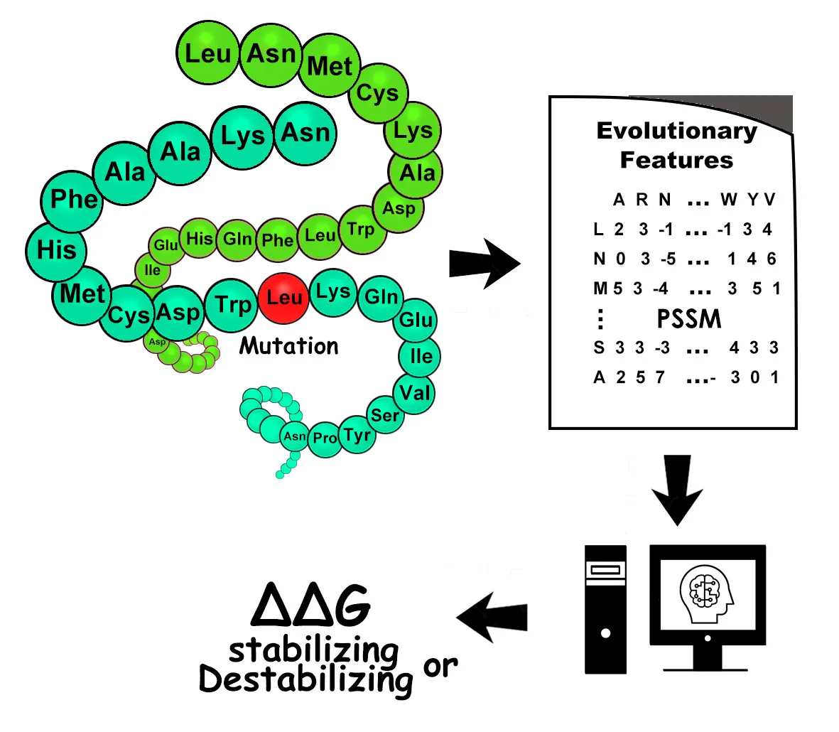 SAAMBE-SEQ-SCHEMA